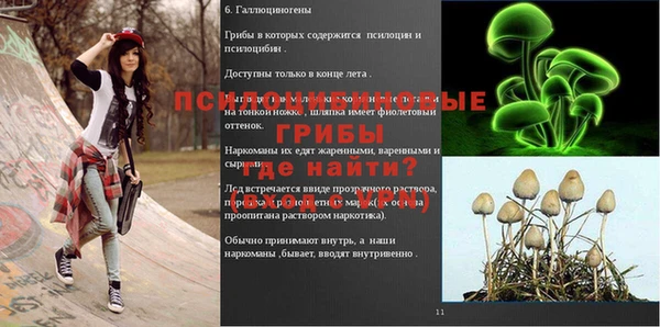 молекула духа Алексеевка