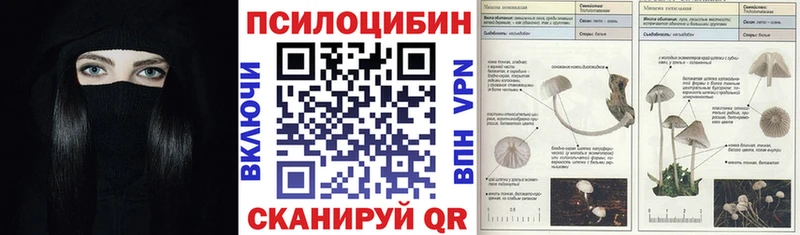 Псилоцибиновые грибы ЛСД  Звенигово 