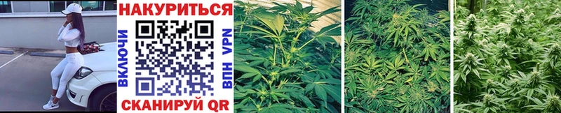 купить наркотик Звенигово МАРИХУАНА LSD WEED
